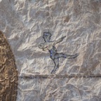 Lifecircle | Detail | 2009