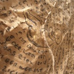 Lifecircle | Detail | 2009